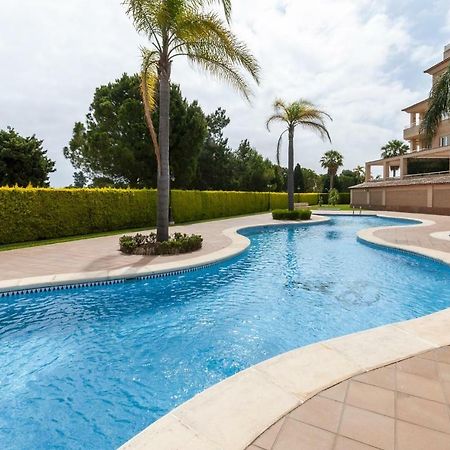 Buganvilla Oliva Bagian luar foto
